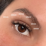 Natural Cluster Lashes Kit