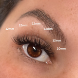 Natural Cluster Lashes Kit