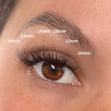 Natural Cluster Lashes Kit